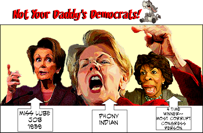 Not Your Daddys Dems